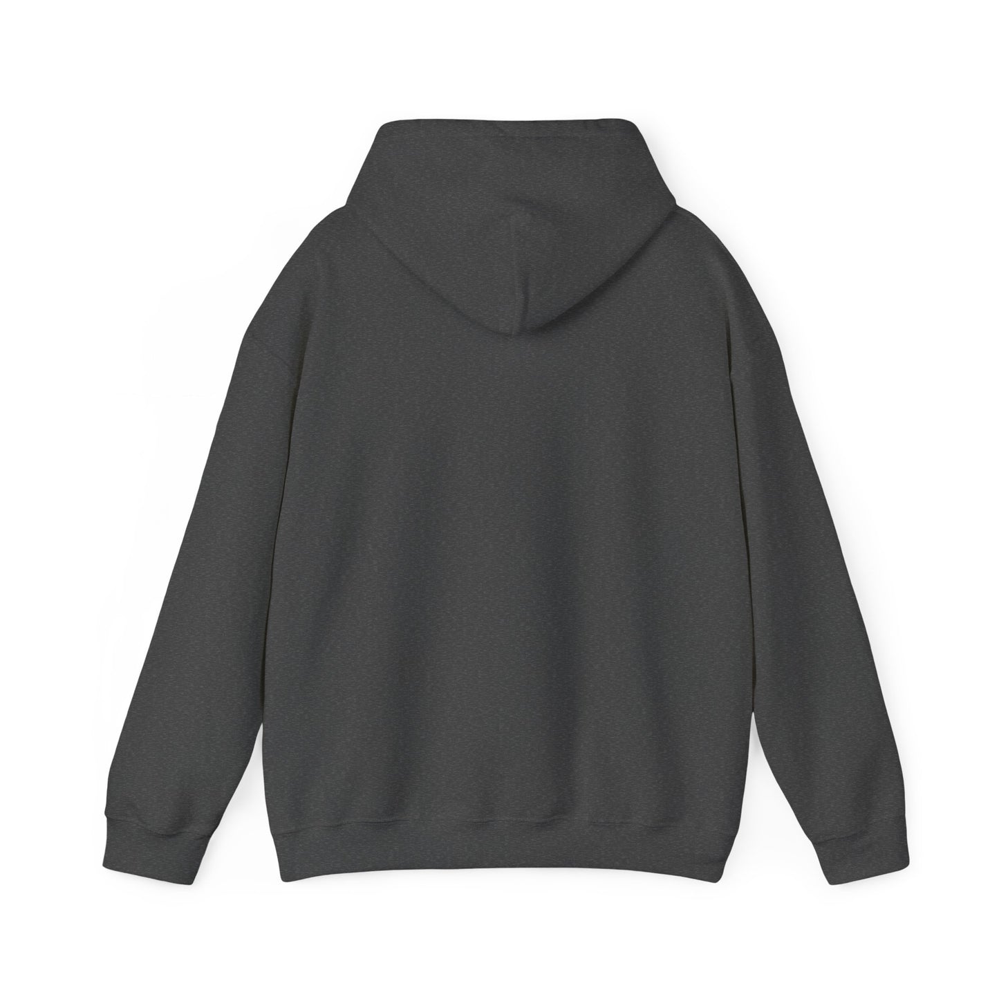 2024 SENTINELS HOODIE